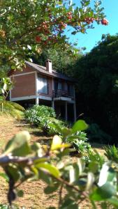 uma pequena casa no meio de um quintal em Chalé Recanto do Sol em Paraisópolis