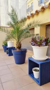 Fotografia z galérie ubytovania Costa Brava-St Antoni de Calonge apartament per parelles i famílies petites v destinácii Calonge