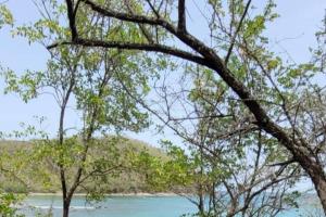 Peisaj natural din apropierea acestei case de vacanță
