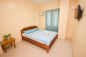TV a/nebo společenská místnost v ubytování Boracay Backpackers