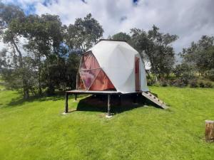 Zahrada ubytování Glamping Mi Casita