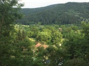- une vue sur une forêt avec des arbres et des maisons dans l'établissement Casa Beatrice, à Grăjdana