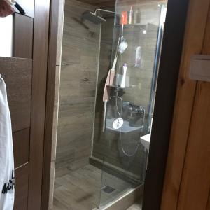 a shower with a glass door in a bathroom at Cabana Trei Brazi Dambovita in Bezdead