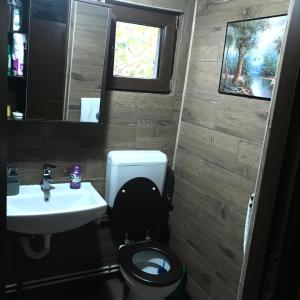 Foto dalla galleria di Cabana Trei Brazi Dambovita a Bezdead