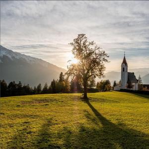 a tree in the middle of a field with a church at SOLU Apartments in Seefeld in Tirol
