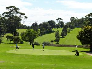 a group of people playing golf on a golf course at Tee to Sea in Mollymook