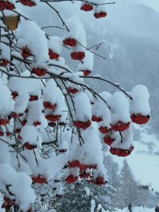Gîte les 3 cols durante l'inverno