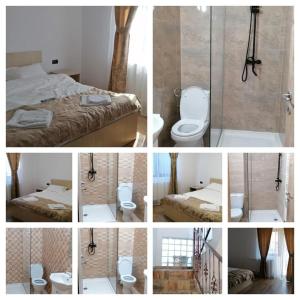 un collage de fotos de un baño con aseo y ducha en Casa Diana Rasnov, en Râșnov