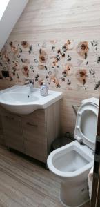 uma casa de banho com um lavatório e um WC com flores na parede em Casa Diana Rasnov em Rasnov