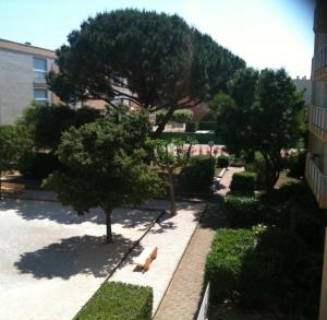 a bench in a park with trees and bushes at PROMO ÉTÉ 2026 TOUT À PIED !! 150 m MER PISC PKG in Le Lavandou