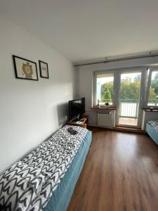 a bedroom with a bed and a tv and windows at Pokoje Bora-Komorowskiego in Warsaw +10 photos