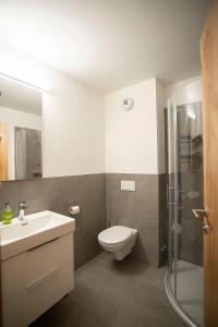 La salle de bains est pourvue de toilettes, d'un lavabo et d'une douche. dans l'établissement Sporthotel Ferlach, à Ferlach
