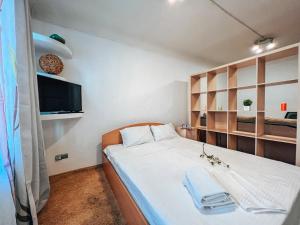 een kleine slaapkamer met een bed en een televisie bij Apartment in the center of Kyiv in Kiev