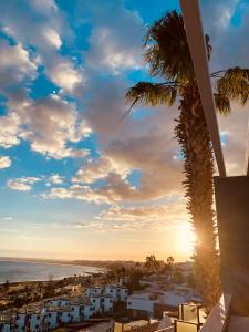 a view of the ocean and a palm tree at Atlantic View Maspalomas in Maspalomas
