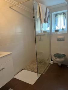 a bathroom with a glass shower with a toilet at Appartement Petra in Bruck an der Großglocknerstraße