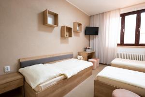 1 dormitorio con 2 camas y TV en la pared en Hotel DSZSU en Trenčianske Teplice