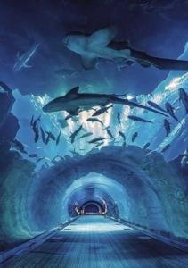 a tunnel with sharks in a large aquarium at Deluxe Studio Address Dubai Mall "The Residence" in Dubai