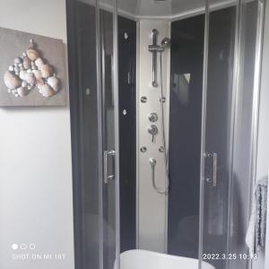 prysznic ze szklanymi drzwiami w łazience w obiekcie Maison Normande w mieście Beuzeville