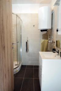 a bathroom with a sink and a shower at Alpok-Spirit Apartment – Velem in Velem