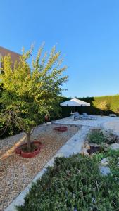 un giardino con albero e ombrellone di Villa Victoria 400 meters to the beach a Peyia