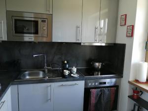 a kitchen with a sink and a stove and a microwave at Ferienhaus Nienaber in Grafenau