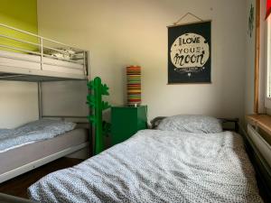 Stryck的住宿－Kreatives Ferienhaus in Willingen Sauerland nähe Winterberg，一间带两张双层床的卧室和仙人掌