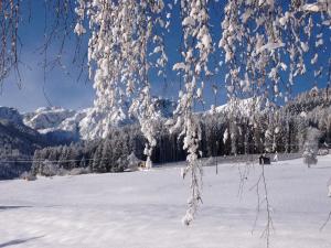 Obermairhof en invierno