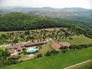 eine Luftansicht eines Herrenhauses mit Pool und Bäumen in der Unterkunft Petneházy Aparthotel in Budapest