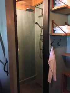 eine Dusche mit Glastür im Bad in der Unterkunft Landgoed Versteegh nabij heerlijkheid Mariënwaerdt in Beesd