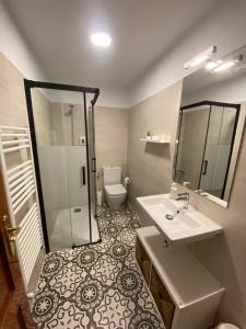a bathroom with a sink and a shower and a toilet at Aramotz Etxea in Ugarana +14 photos