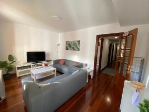 a living room with a couch and a tv at Aramotz Etxea in Ugarana