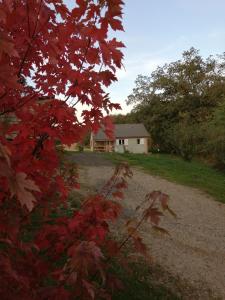 un albero con foglie rosse davanti a una casa di Le Chalet de Lilie a Bassignac