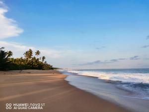 an empty beach with palm trees and the ocean at Sheen Holiday Resort in Tangalle