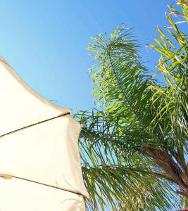 a white umbrella sitting next to a palm tree at Tenuta Tropeano in Tropea