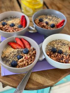 four bowls of oatmeal with strawberries and blueberries at ECO Aparthotel The Dreamers's Club in Lumbarda