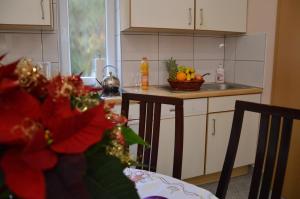 Kuchyňa alebo kuchynka v ubytovaní Private Room Pyrkerstraße