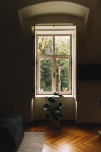 ein Fenster in einem Raum mit einer Pflanze davor in der Unterkunft Dvorac Janković in Suhopolje