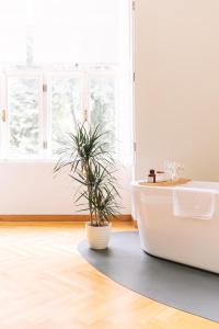 a bathroom with a tub and a plant on a rug at Dvorac Janković in Suhopolje +123 photos