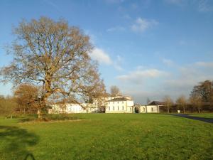 a large white house with a tree in a field at Westgate House B&B Strokestown in Strokestown