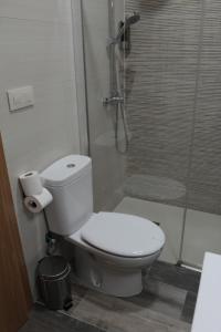 uma casa de banho com um WC e um chuveiro em Hospedium Hostal Temático Desde La Judería em Arjona