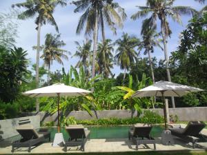 Jardí fora de Ju'Blu Hotel