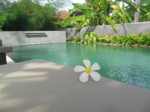 Piscina a Ju'Blu Hotel o a prop