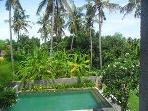 Jardí fora de Ju'Blu Hotel
