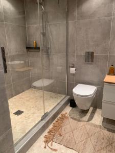 a bathroom with a shower and a toilet at B&B Loft-13 in Opende