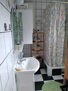 uma casa de banho com um lavatório e uma cortina de chuveiro em Fina Apartment em Leskovac