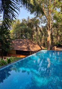Πισίνα στο ή κοντά στο Saligao Villa Goa