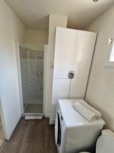 een badkamer met een wasmachine en een douche bij Plein centre Appartement climatisé et spacieux avec grande terrasse sur le toit à Nice in Nice