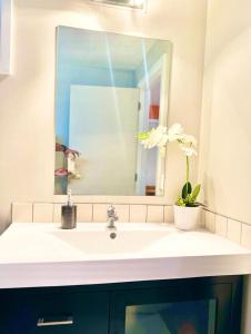 ein Badezimmer mit einem weißen Waschbecken und einem Spiegel in der Unterkunft Private studio Auckland Self Checkin and 2 Parking Netflix Prime in Auckland