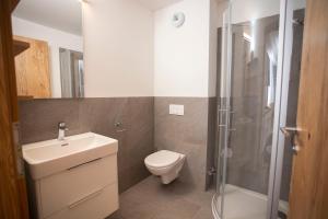 a bathroom with a toilet and a sink and a shower at Sporthotel Ferlach in Ferlach