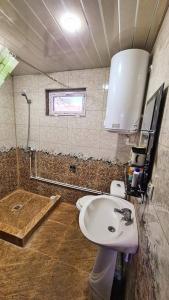 ein Bad mit einem WC, einem Waschbecken und einer Dusche in der Unterkunft Papi Aygi in Alawerdi